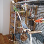 Vogelspielzeug mit Sisal Kletterseil und 3 Naturholz Sitzstangen