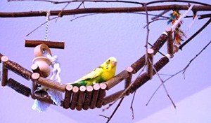 Kletterbrücke aus Naturholz - Tolles Vogelspielzeug